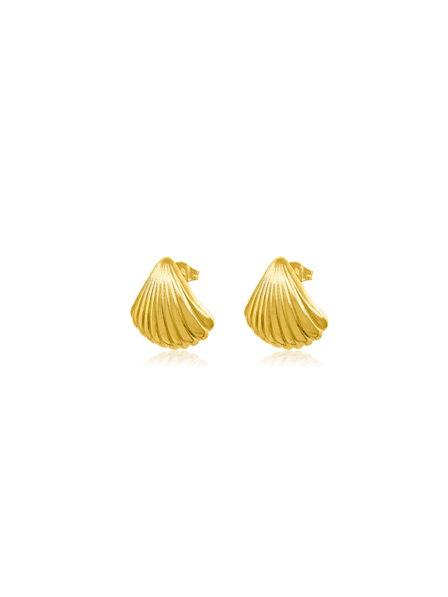 Clam Shell Gold Earrings