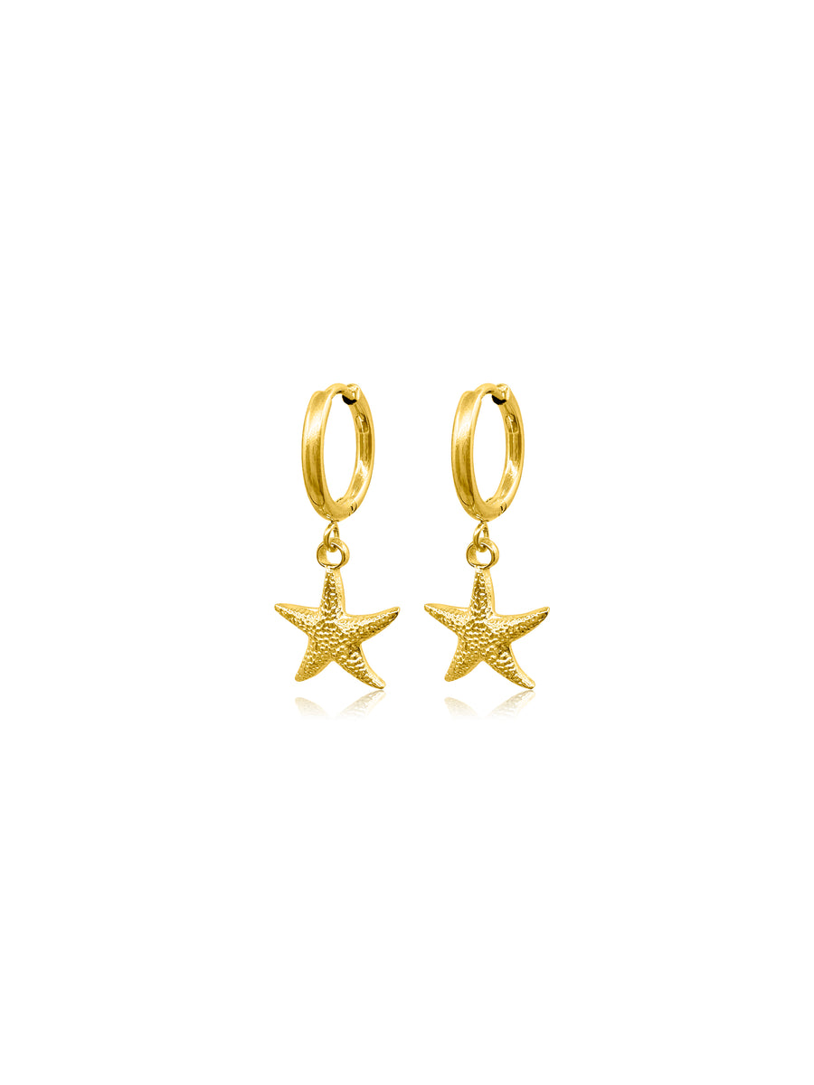 Starfish Gold Earrings